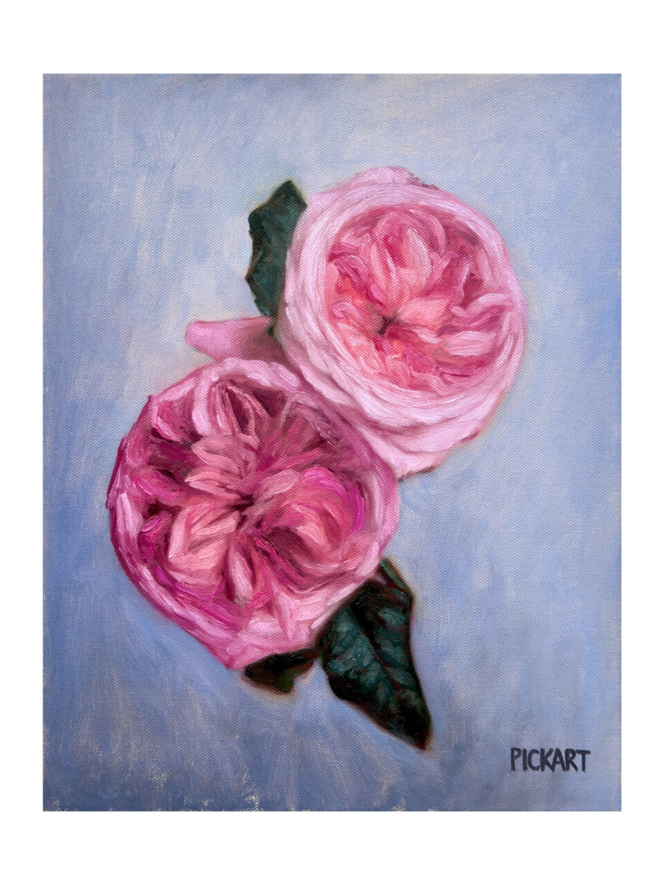 Pink Garden Roses—Study I